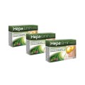 AFLOFARM Hepaslimin SUPER SAVER  3 PACK  90 tablets